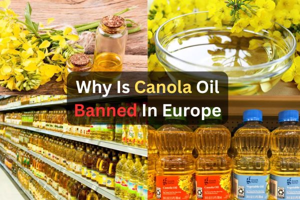 Why Is Canola Oil Banned In Europe