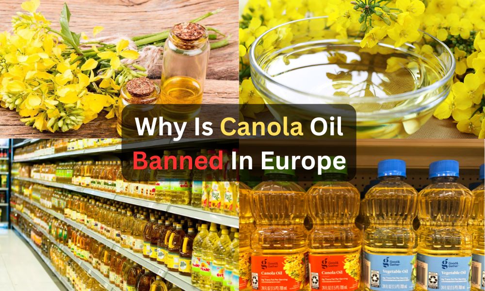 Why Is Canola Oil Banned In Europe