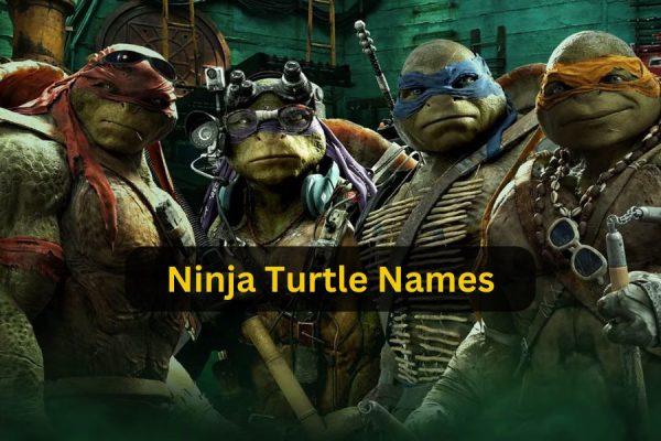 ninja turtle names