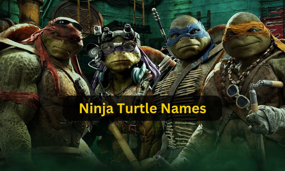 ninja turtle names