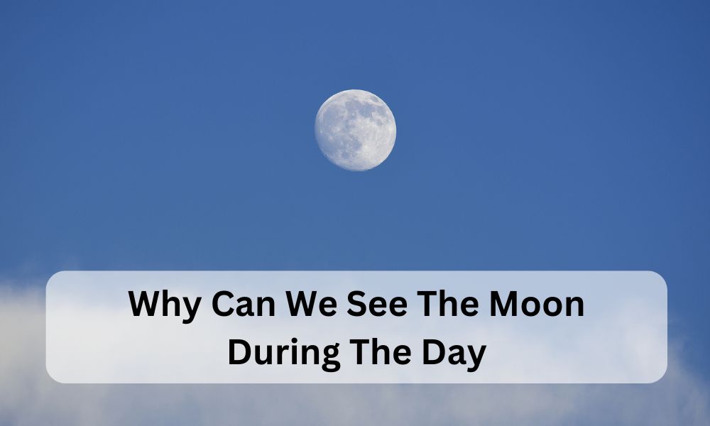 why can we see the moon during the day